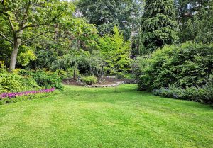 Optimiser l'expérience du jardin à Antugnac